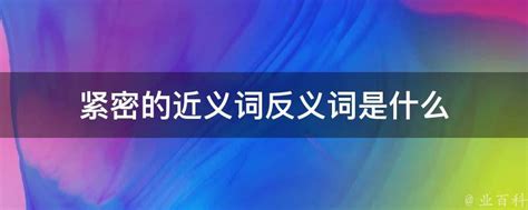 揭秘：紧密的近义词大盘点 4