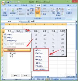 Excel中实现高级筛选的方法 2