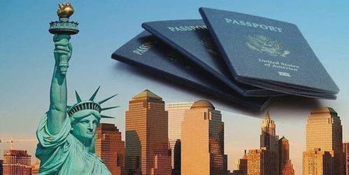 揭秘：成功移民美国的实用指南 2