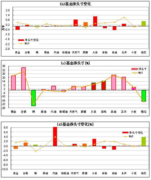 深度解析：持仓策略与高效分析方法 1