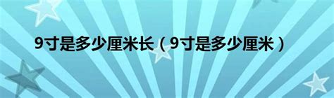 二尺九等于多少厘米？ 4