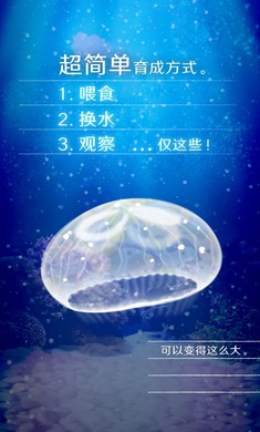 养育水母的治愈游戏 1