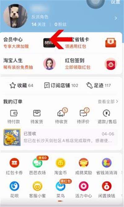 淘宝APP查看淘气值的方法 3