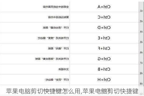 一键掌握：复制、剪切、粘贴、撤销等快捷键操作秘籍 4