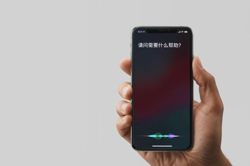 如何激活苹果手机上的Siri 3