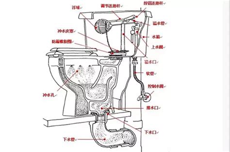 怎样才能正确选择马桶？ 4