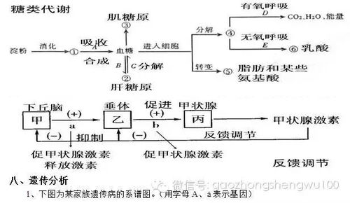 金黄的魅力：探寻那些令人心动的填充物 3