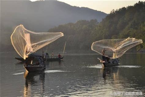 高效捕鱼技巧与打法详解 3