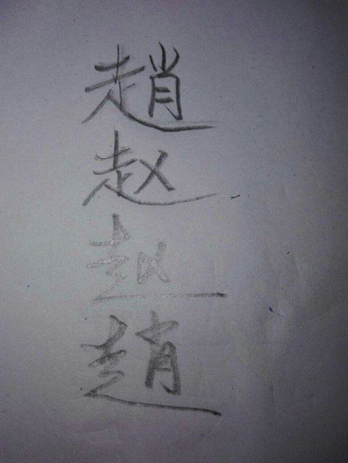 揭秘“赵”字笔顺，轻松掌握书写技巧！ 2