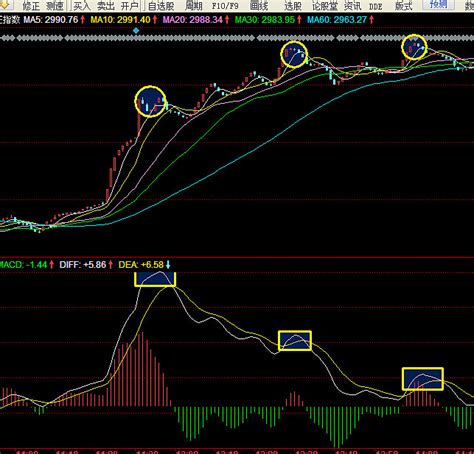 MACD顶背离和底背离：如何识别股市中的反转信号？ 2