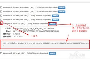 下载Windows 8.1镜像的MSDN指南 2