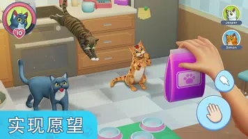 我的宠物猫模拟器 截图1