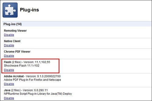 谷歌Chrome浏览器Shockwave Flash插件为何频繁崩溃？ 3