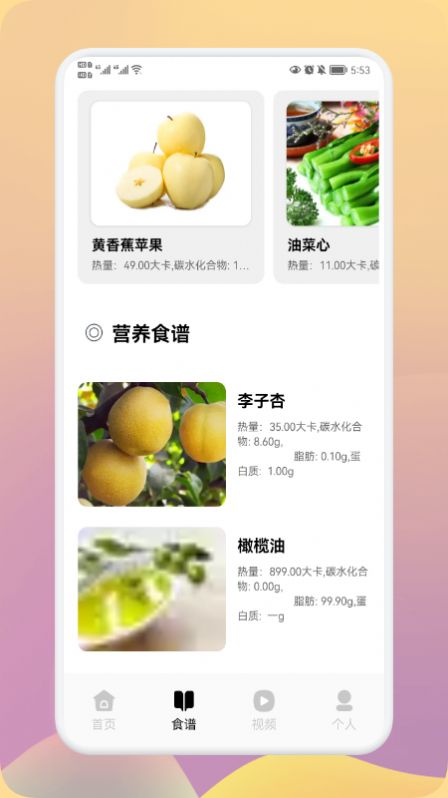 瘦身计划app