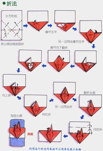 轻松学会！一步一步教你叠出精美千纸鹤 2