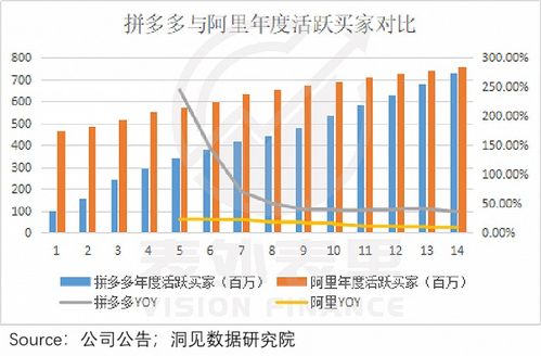 如何查看在拼多多上的总消费金额？ 3