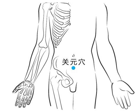 揭秘关元穴位精准位置图及其神奇功效 3