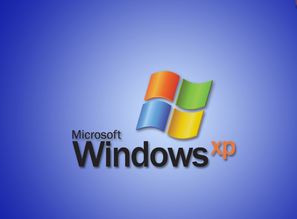XP系统：家庭版、企业版与政府版，究竟有何不同？ 2