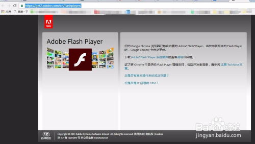 Adobe Flash Player版本过期，需更新 3