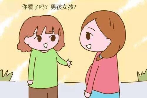 如何决定生男孩还是女孩？ 1