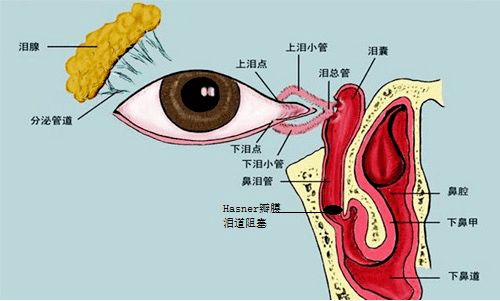 探索揭秘：'括囊无咎无誉'的深层含义，你了解多少？ 3