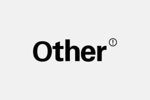 What Does 'Other' Mean? 2