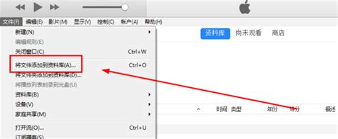 将电脑上的电影文件传输到iPad的简易方法 4