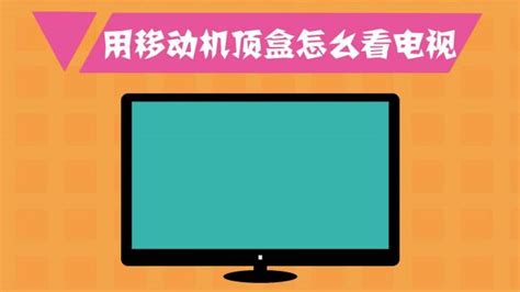 轻松掌握！网上观看CCTV5直播的方法 2