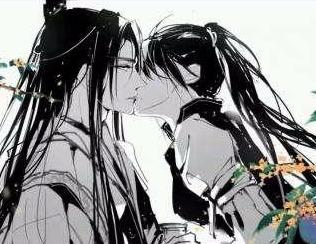 《〈有匪〉：言情还是耽美作品？》 2