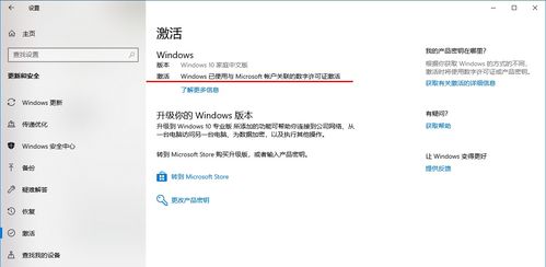 轻松学会！如何查找自己的Windows产品密钥 4