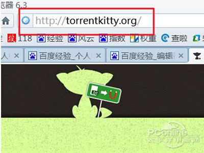 torrentkitty无法访问时该怎么办？ 3