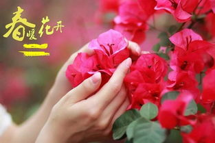 阳春三月对应的生肖是什么？ 2