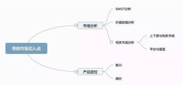 产品定位与市场深度分析 2