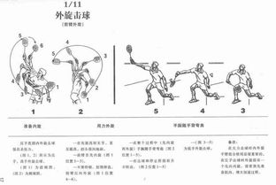 解锁铁板桥完美姿势：详细图解指南 2