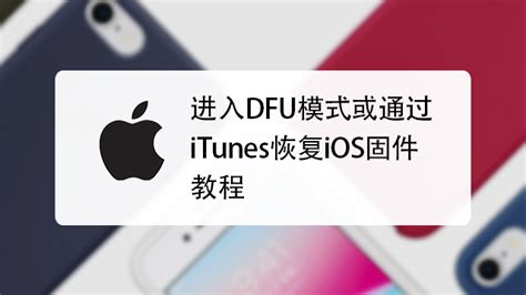 轻松掌握：利用iTunes恢复iOS固件的详细步骤 2