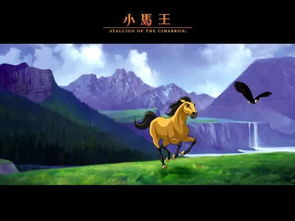 有哪些适合儿童的精彩电影？为什么《小马王》是不可错过的选择？ 2