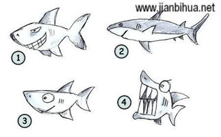 如何一步步轻松学会画逼真的鲨鱼？ 4