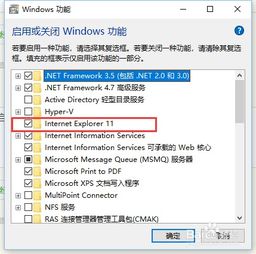 Win 10系统下怎样完全卸载IE浏览器？ 2