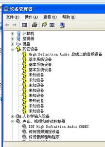 惠普CQ40-519装XP系统后无声音怎么办？ 2