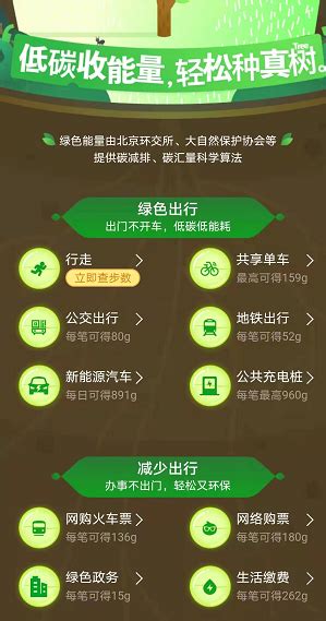 蚂蚁森林能量规则全解析：你的绿色行动指南在这里！ 2