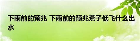 雨前预兆有哪些？ 3