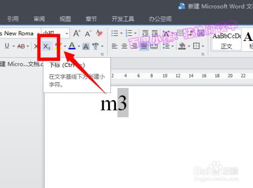 如何在Word文档中插入下标文字？ 1