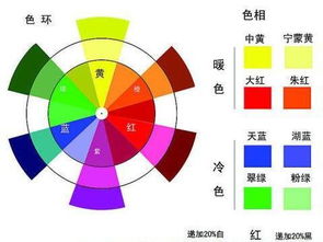 掌握色彩调和的绝妙技巧 3