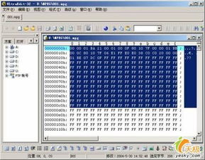 MPEG文件详解：定义与打开方法 2