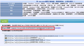 掌握迅雷技巧：如何利用特征码与磁力链接高效下载资源 2