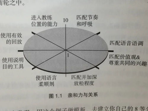 镇定的近义词探寻 2