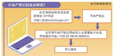 如何查询辽宁不动产登记办理网点 2