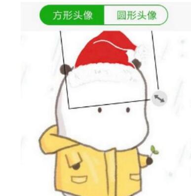 微信头像轻松戴上圣诞帽教程 2