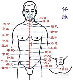 揭秘中医导引：我的独特见解与体验 1