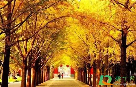 11月的节日与重要纪念日概览 2